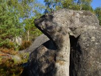 2016-10-09 Les gorges d Apremont 0065